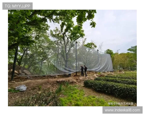 凯发森林舞会:探索多样化的森林元素设计带来的沉浸式游戏体验 凯发森林舞会:探索多样化的森林元素设计带来的沉浸式游戏体验